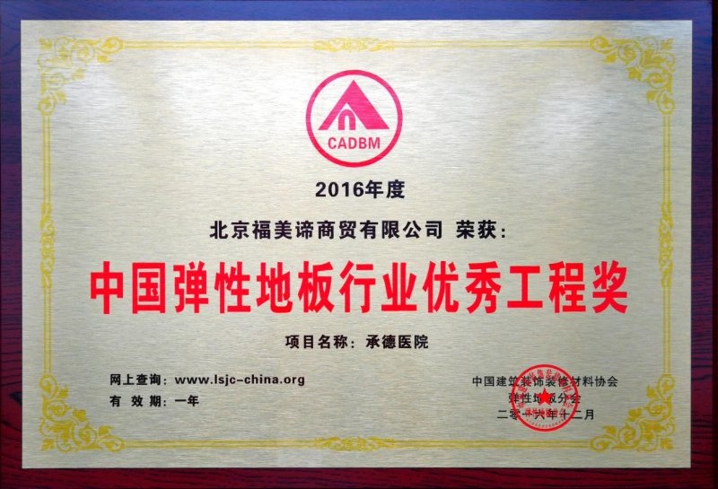 中国弹性地板行业优秀工程奖