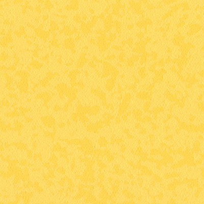 7204.jpg