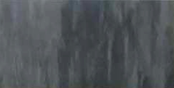 洁福pvc地板美宝琳贝克系列1108