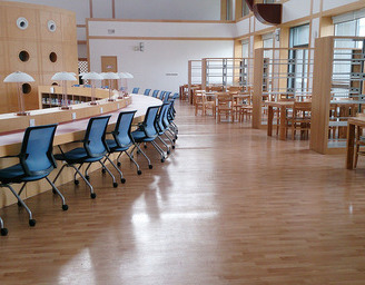 柏莱灵动  洁福塑胶地板 学校地板/幼儿园地板/图书馆地板